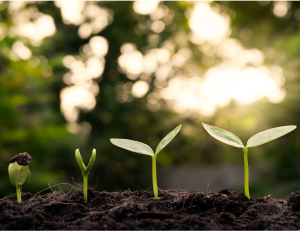 Agricoltura e biodiversità in rete: una giornata di confronto a Mezzolara di Budrio (BO)