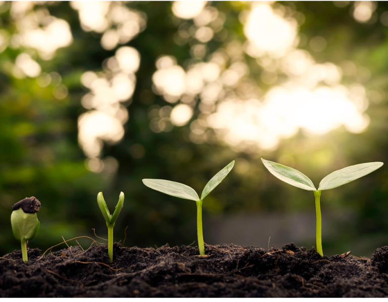 Agricoltura e biodiversità in rete: una giornata di confronto a Mezzolara di Budrio (BO)