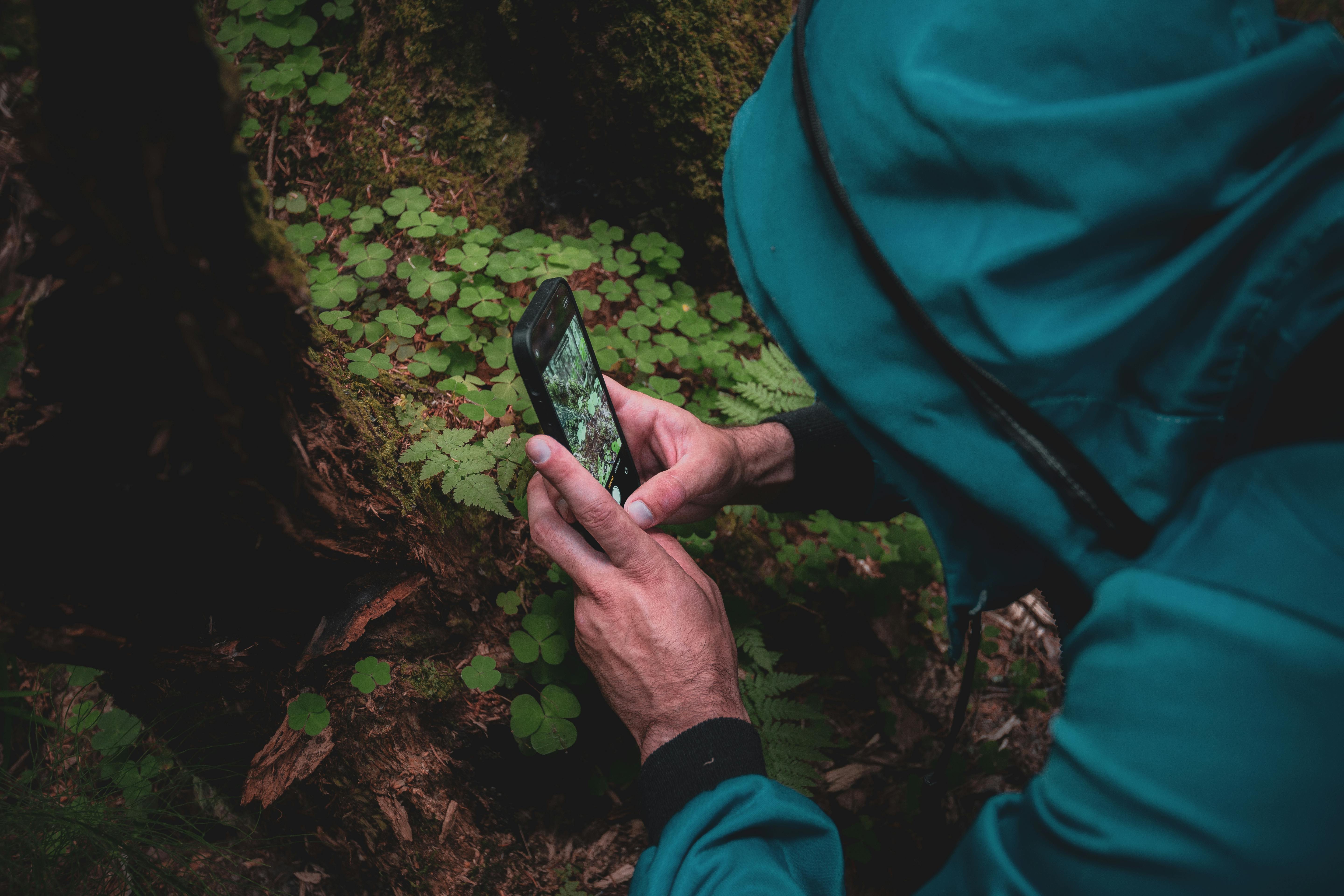 Concorso Fotografico Snap in Nature: Camminata della Biodiversità – Novara Città in Erba (NO)