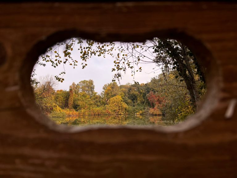Fotografie e biodiversità protagoniste del concorso fotografico “Snap in Nature: occhi sulla biodiversità”