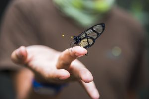 “Il mio giardino biodiverso”: ecco i vincitori del concorso fotografico dedicato alla natura nascosta nei nostri spazi verdi