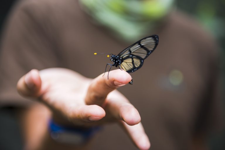 “Il mio giardino biodiverso”: ecco i vincitori del concorso fotografico dedicato alla natura nascosta nei nostri spazi verdi