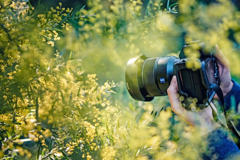 Concorso Fotografico Snap in Nature “Occhi sulla biodiversità”