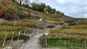 Forum Agroecologia al MUSE – Museo della Scienza di Trento
