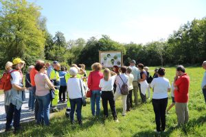 Passeggiata e concorso fotografico alla Palude Bruschera di Angera (VA) – Domenica 1 febbraio 2026