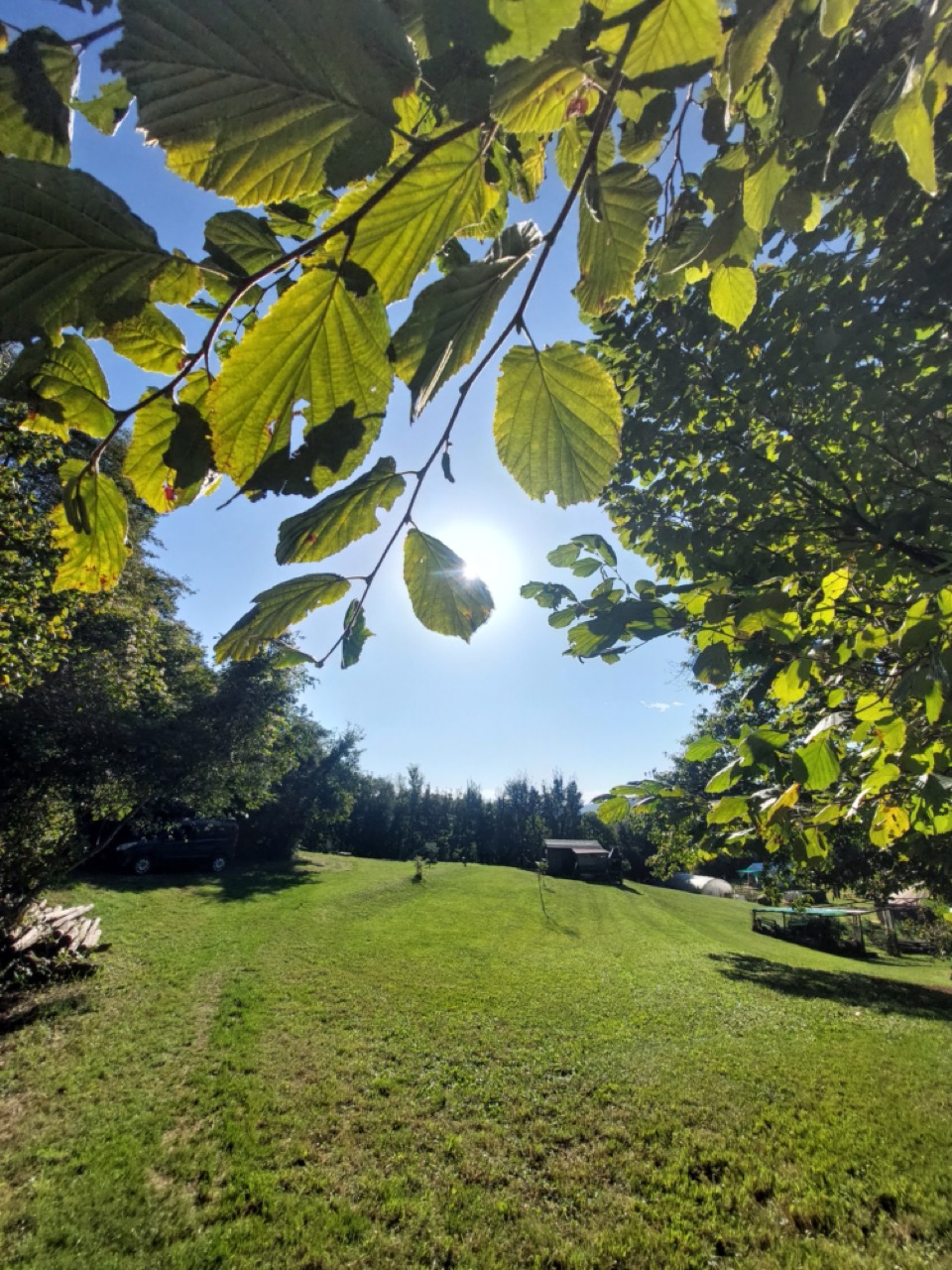 Concorso Fotografico Snap in Nature e spettacolo teatrale itinerante “Storie della Terra – Fiabe dalla tradizione popolare veneta” | Zovencedo (VI) – 26 aprile 2026