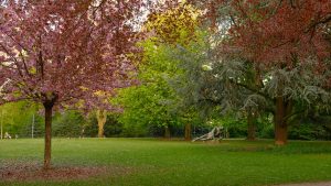 Botanica Queer: un percorso nel lato drag della natura al Parco Santa Croce | Sabato 9 maggio 2026 – Parco Santa Croce di Carpi (MO)