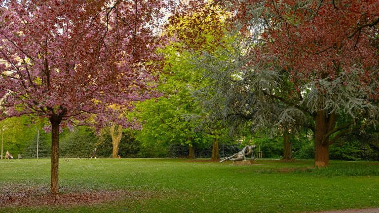Botanica Queer: un percorso nel lato drag della natura al Parco Santa Croce | Sabato 9 maggio 2026 – Parco Santa Croce di Carpi (MO)
