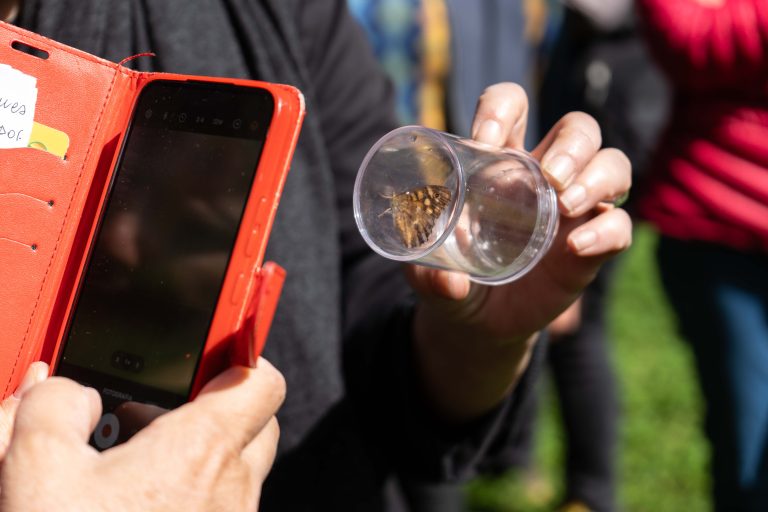 Grande partecipazione e tanto entusiasmo per il Festival della Comunità Biodiversa 2026 al Bosco delle Querce | 15-16 maggio 2026